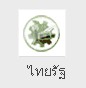 http://ookbeetunwalai.s3.amazonaws.com/files/member/1/698116506-member.jpg